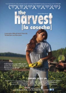 Poster The Harvest/La Cosecha