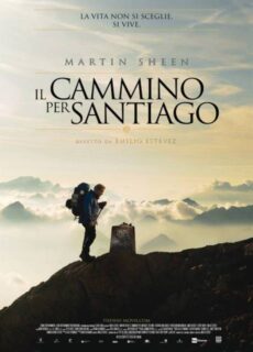 Poster Il cammino per Santiago