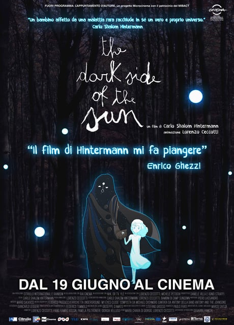 Poster The Dark Side of the Sun