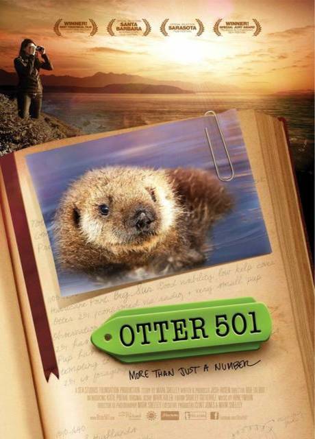 Poster Otter 501