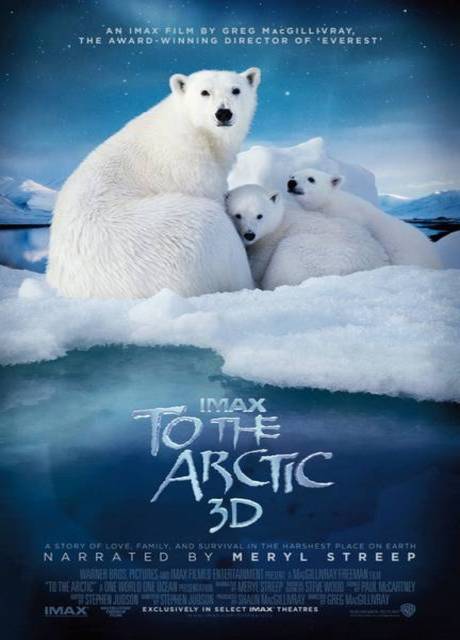 Poster To the Arctic 3D