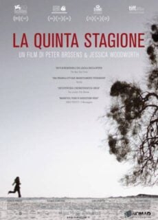 Poster La quinta stagione