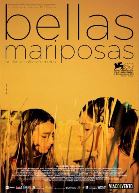 Poster Bellas Mariposas