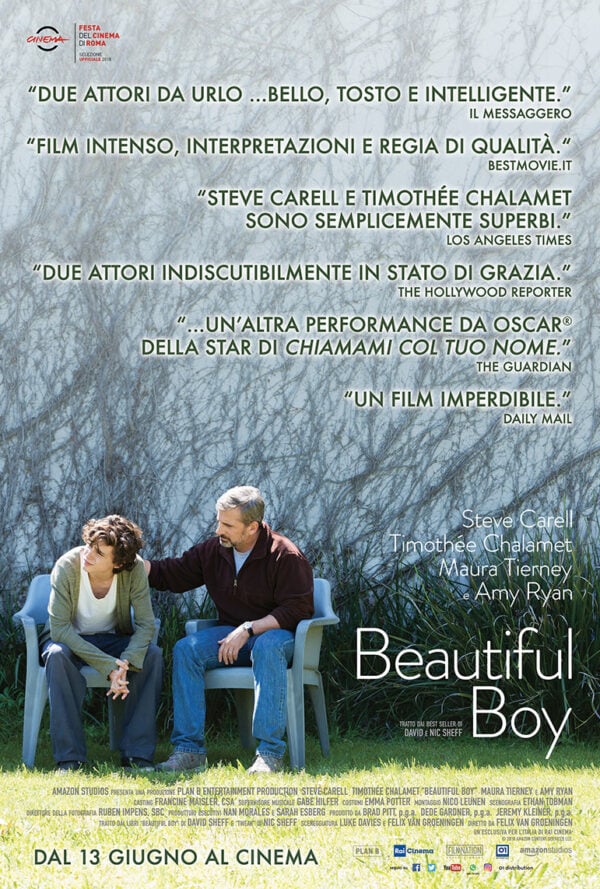 Poster Beautiful Boy