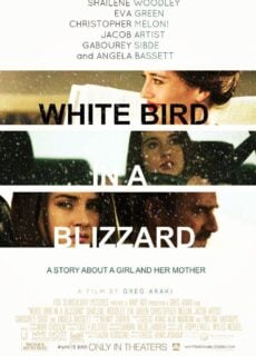 Poster White Bird In A Blizzard