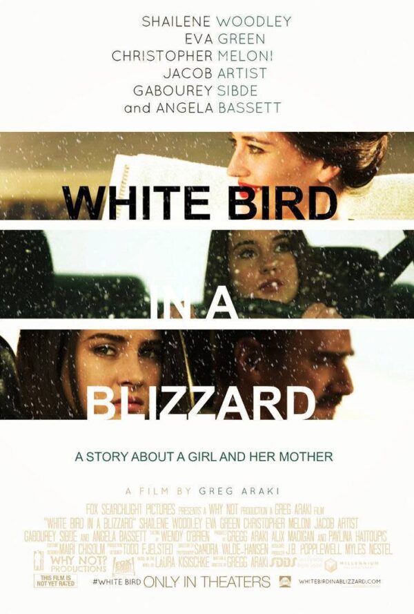 Poster White Bird In A Blizzard