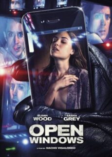 Poster Open Windows