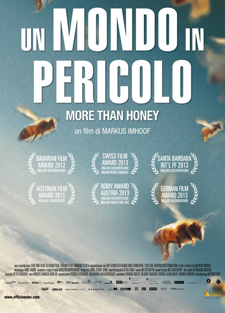 Poster Un mondo in pericolo – More Than Honey