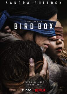 Poster Bird Box