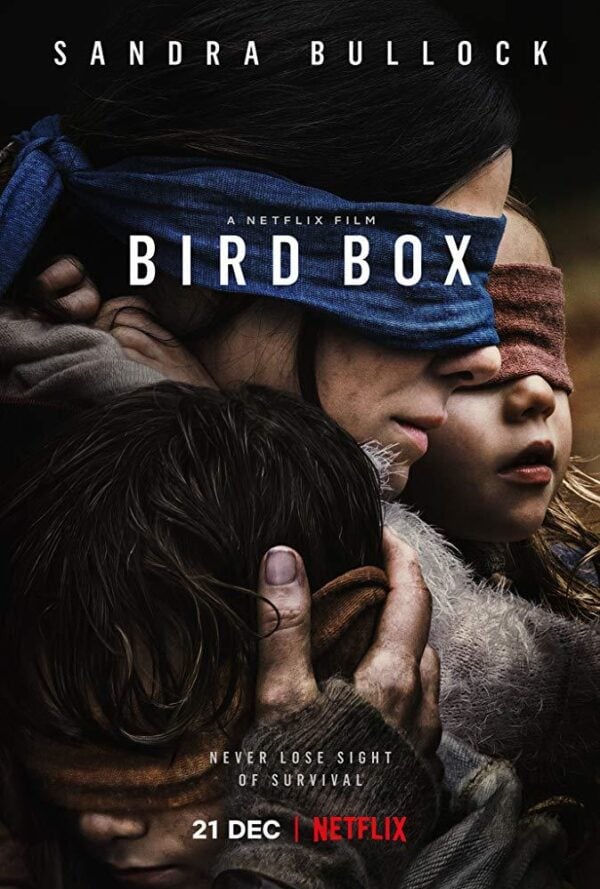 Poster Bird Box