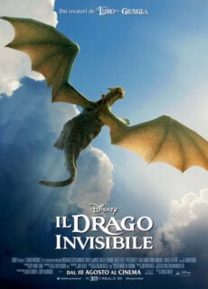 Poster Il Drago Invisibile