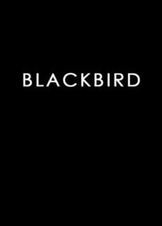 Poster Blackbird