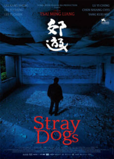 Poster Stray Dogs