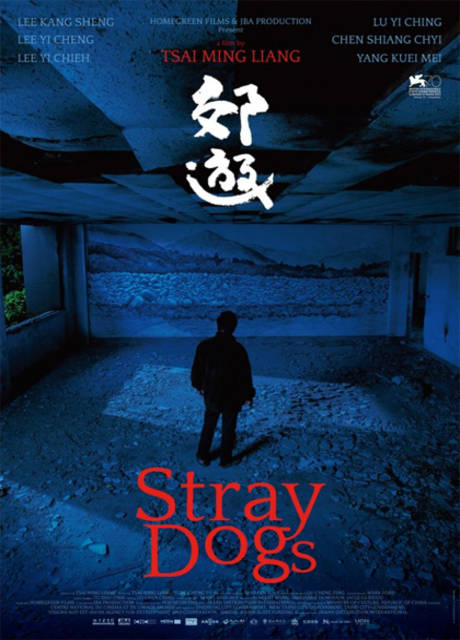 Poster Stray Dogs