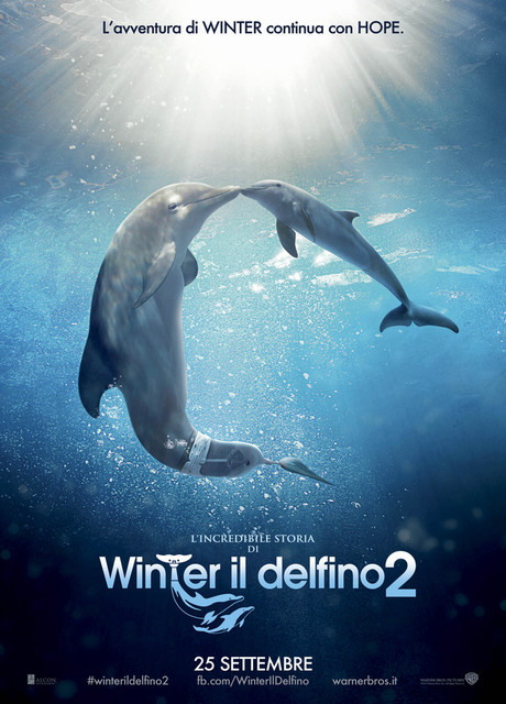 Poster L’incredibile storia di Winter il delfino 2