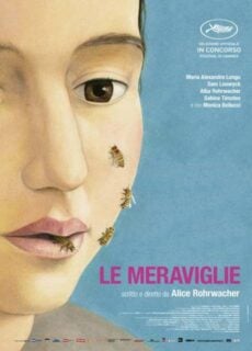 Poster Le meraviglie