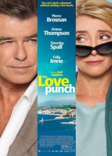 Poster The Love Punch