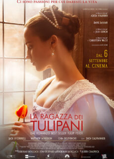 Poster La ragazza dei tulipani