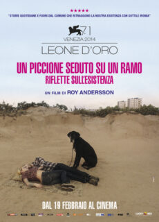 Poster Un piccione seduto su un ramo riflette sull’esistenza