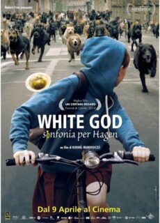 Poster White God – Sinfonia di Hagen