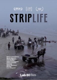 Poster Striplife – A Day in Gaza