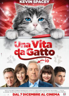 Poster Una vita da gatto