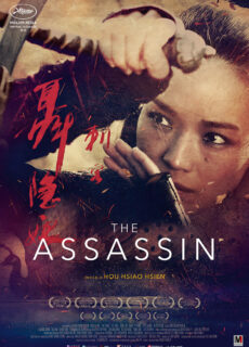 Poster The Assassin