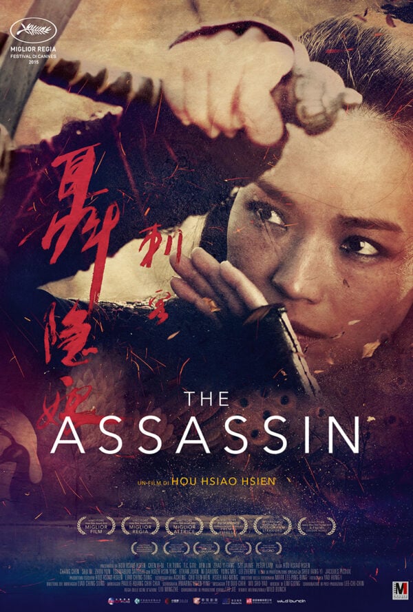 Poster The Assassin