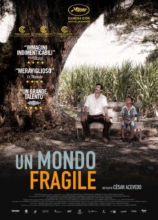 Poster Un mondo fragile