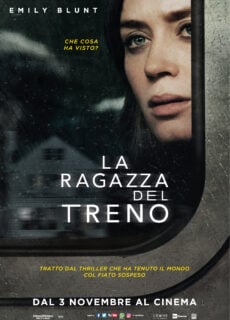 Poster La ragazza del treno