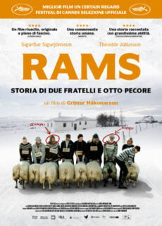 Poster Rams – Storia di due fratelli e otto pecore