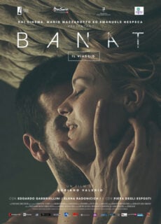 Poster Banat (il viaggio)