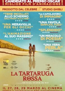 Poster La tartaruga rossa