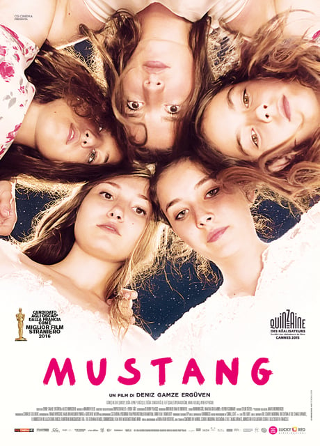 Poster Mustang