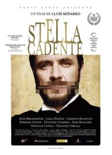 Poster Stella cadente