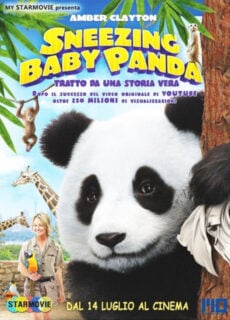 Poster Sneezing Baby Panda