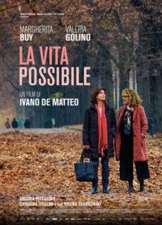 Poster La vita possibile