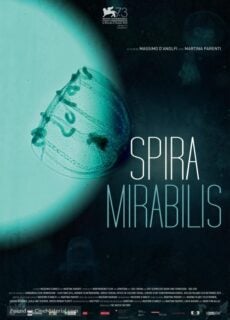 Poster Spira Mirabilis