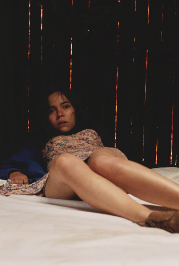 Poster La región salvaje