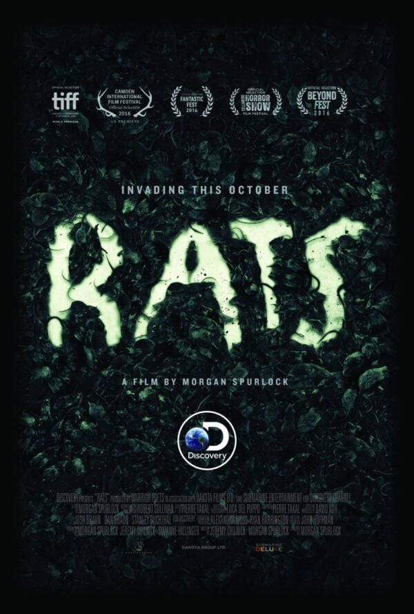 Poster Rats