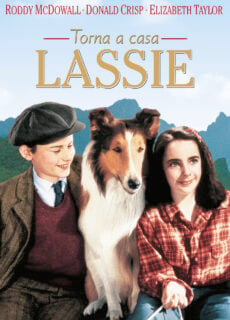 Poster Torna a casa Lassie!