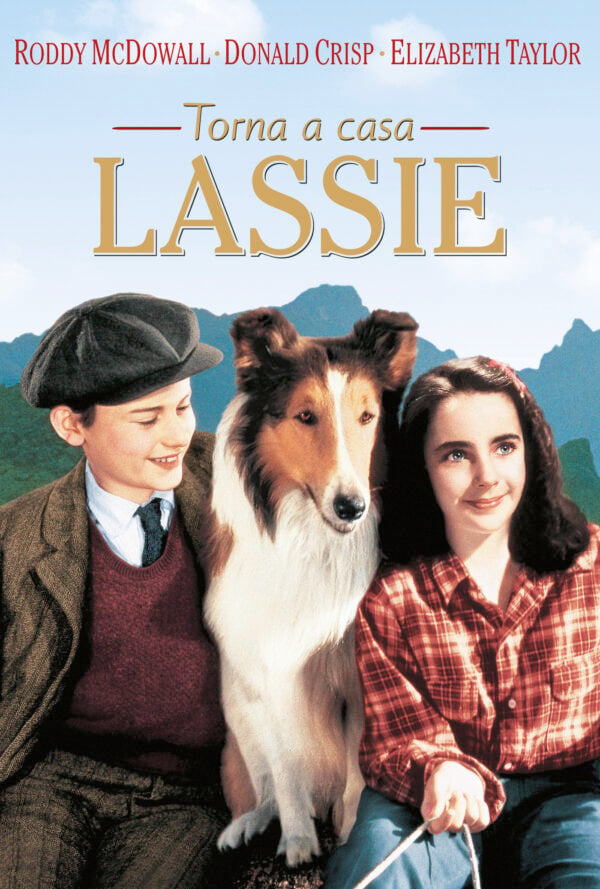 Poster Torna a casa Lassie!