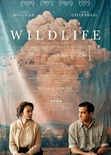 Poster Wildlife