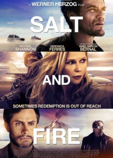 Poster Salt And Fire