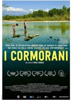 Poster I cormorani