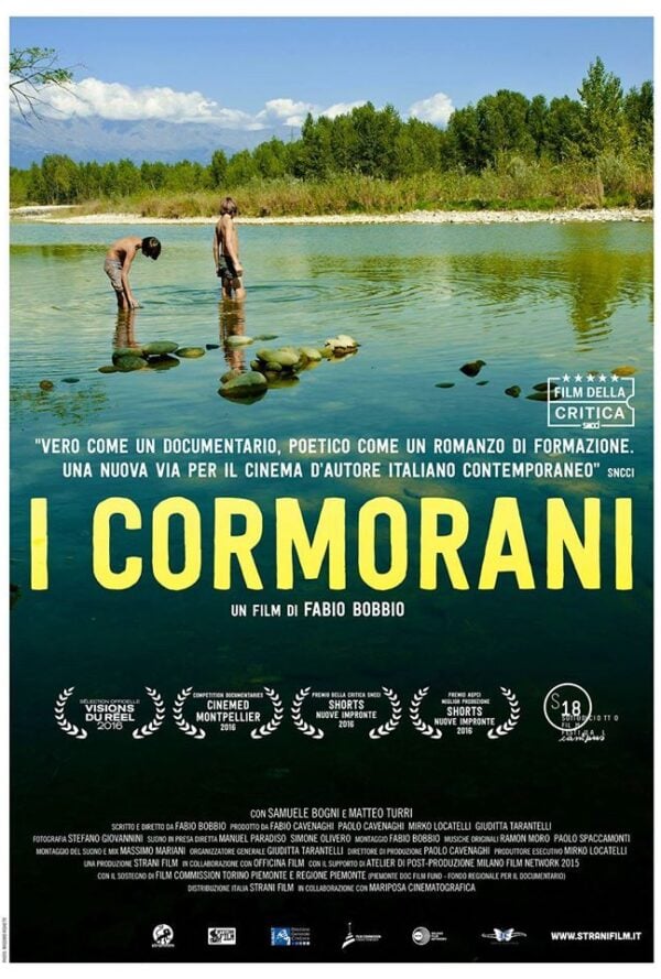 Poster I cormorani