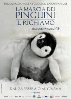 Poster La marcia dei pinguini: Il richiamo