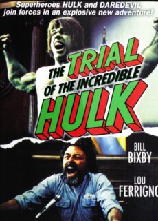 Poster Processo all’incredibile Hulk