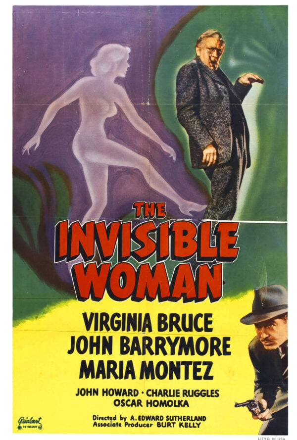 Poster La donna invisibile