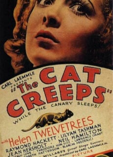 Poster The Cat Creeps